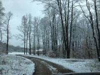 IMG_3320.JPG