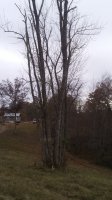 20171112_125631.jpg