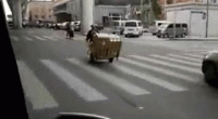 9CDAFC49-FE06-44D5-A3F9-DA7C01F234AA.gif