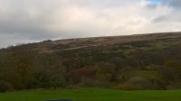 WP_20171112_14_23_12_Pro.jpg