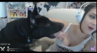 funny-yeah-accident-5879de63385ac769ce112371-g.gif