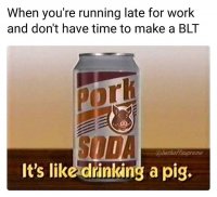 85511169.jpg