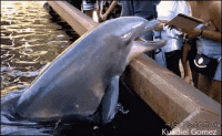 sht-happens-sometimes-11.gif