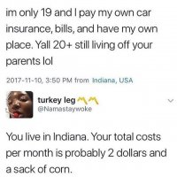 85517083.jpg