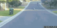 85513950.gif