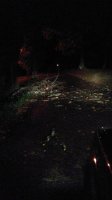 20171119_033644.jpg