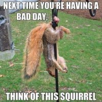 35EDF01A-B6EF-4661-886D-C253E561AD26.jpeg