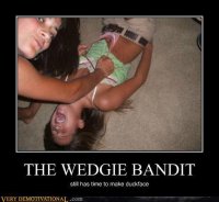 Wedgie_7af788_2554558.jpg