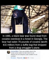 85518624.jpg
