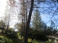 IMG_1124.JPG