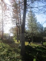 IMG_1125.JPG