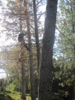 IMG_1126.JPG