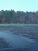 20171120_171708.jpg