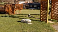 IMG_20171124_142527423.jpg