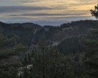 _DSC4279.jpg