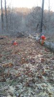 20171129_163809.jpg