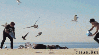 85525654.gif