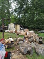 Resized_20170827_184506.jpeg