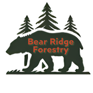 BearRidge