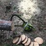 backwoodsdave