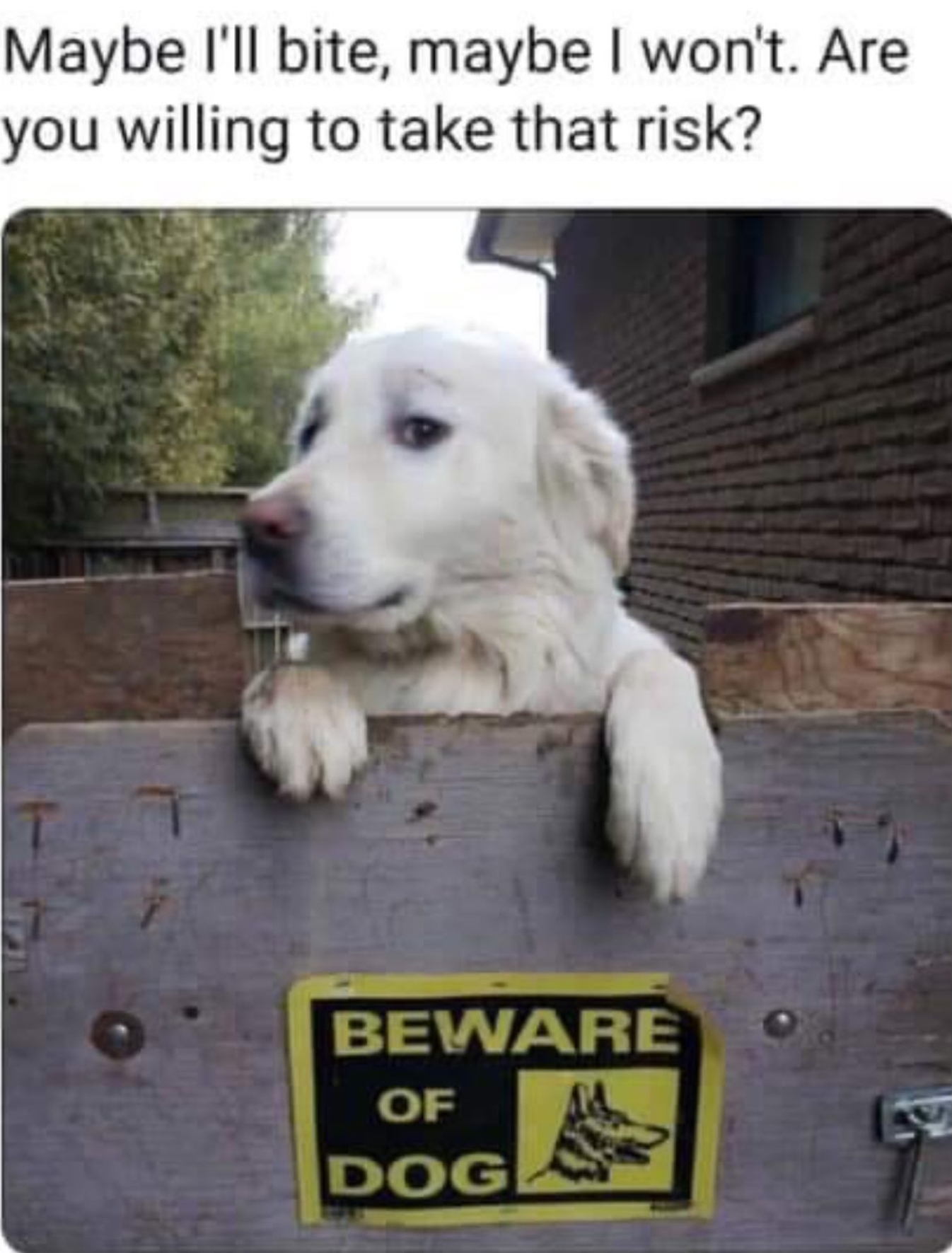 86191285.jpg