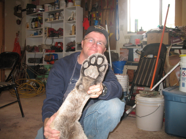 pa-cat-21.jpg