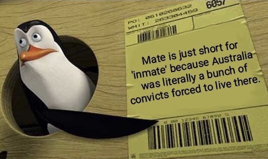 85806182.jpg