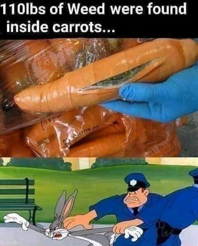 Funnypics27.jpg