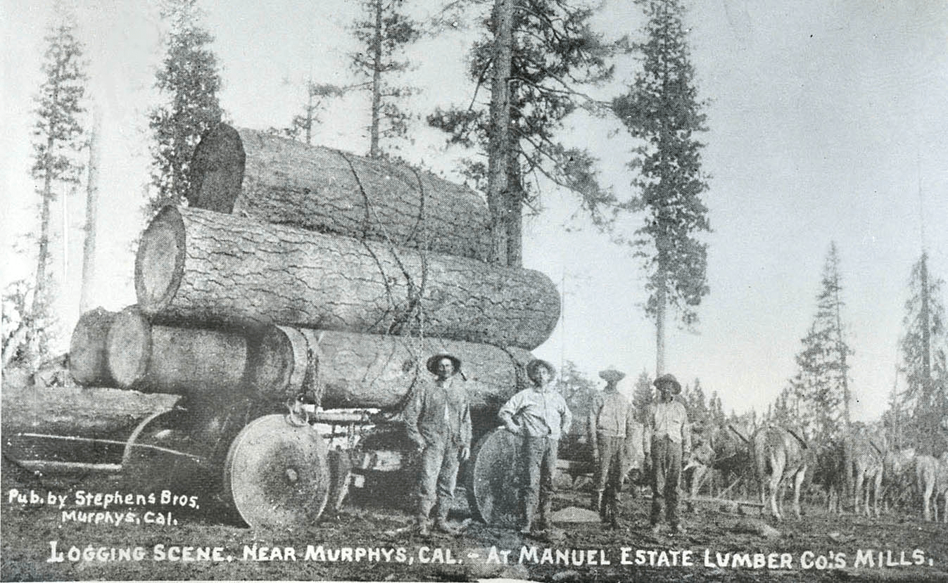 manuel-log-wagon.png