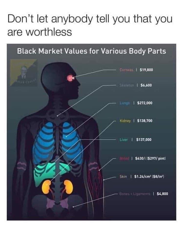 86266251.jpg