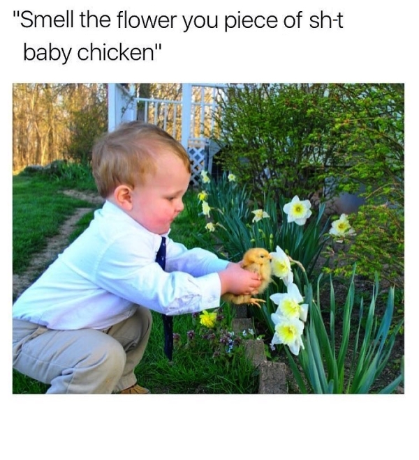 top-smell-flower-piece-sht-baby-chicken.jpg