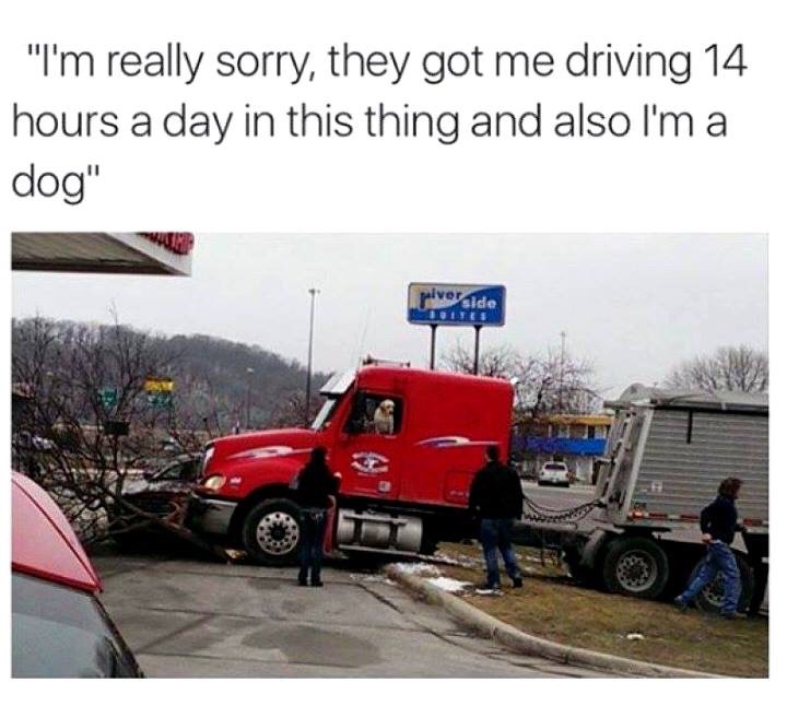 86069885.jpg