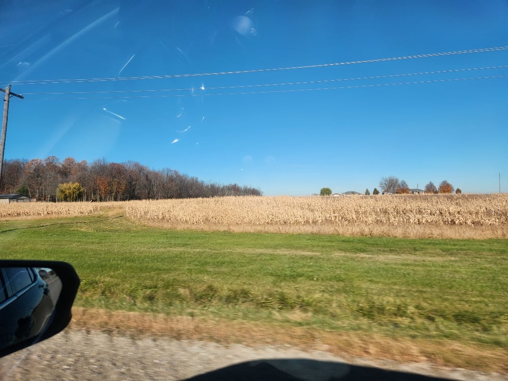 508924804dc1460f904399031007f0c1.jpg