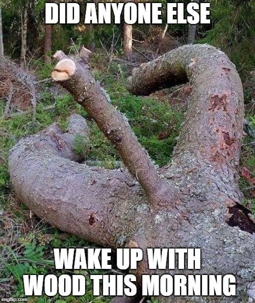 e0b9e7bb5b3e94f2edebb6324ab84fff.jpg