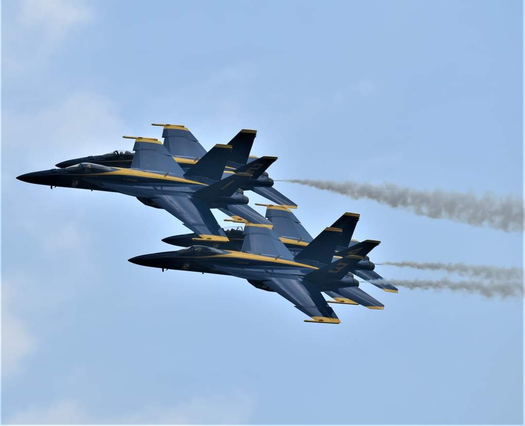 b6d426ff199afe286a8840cfae2060ae.jpg