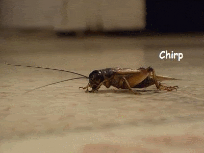 d53f5533876c47201b4e62c858316d08.gif