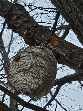 boise.craigslist.org