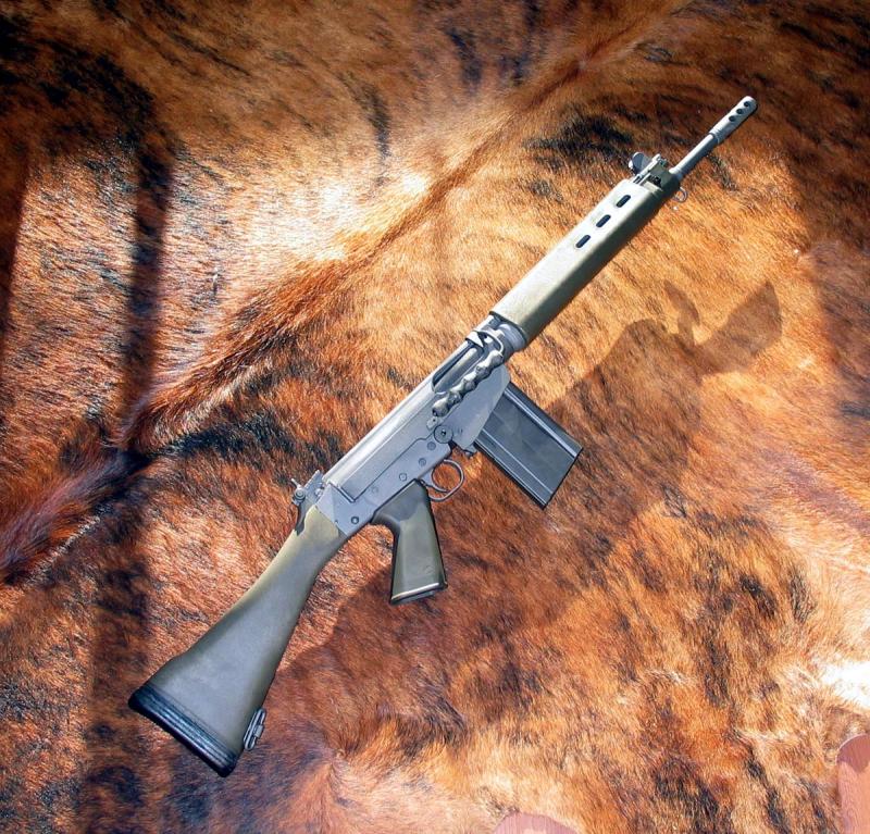 11813556.fal3.jpg