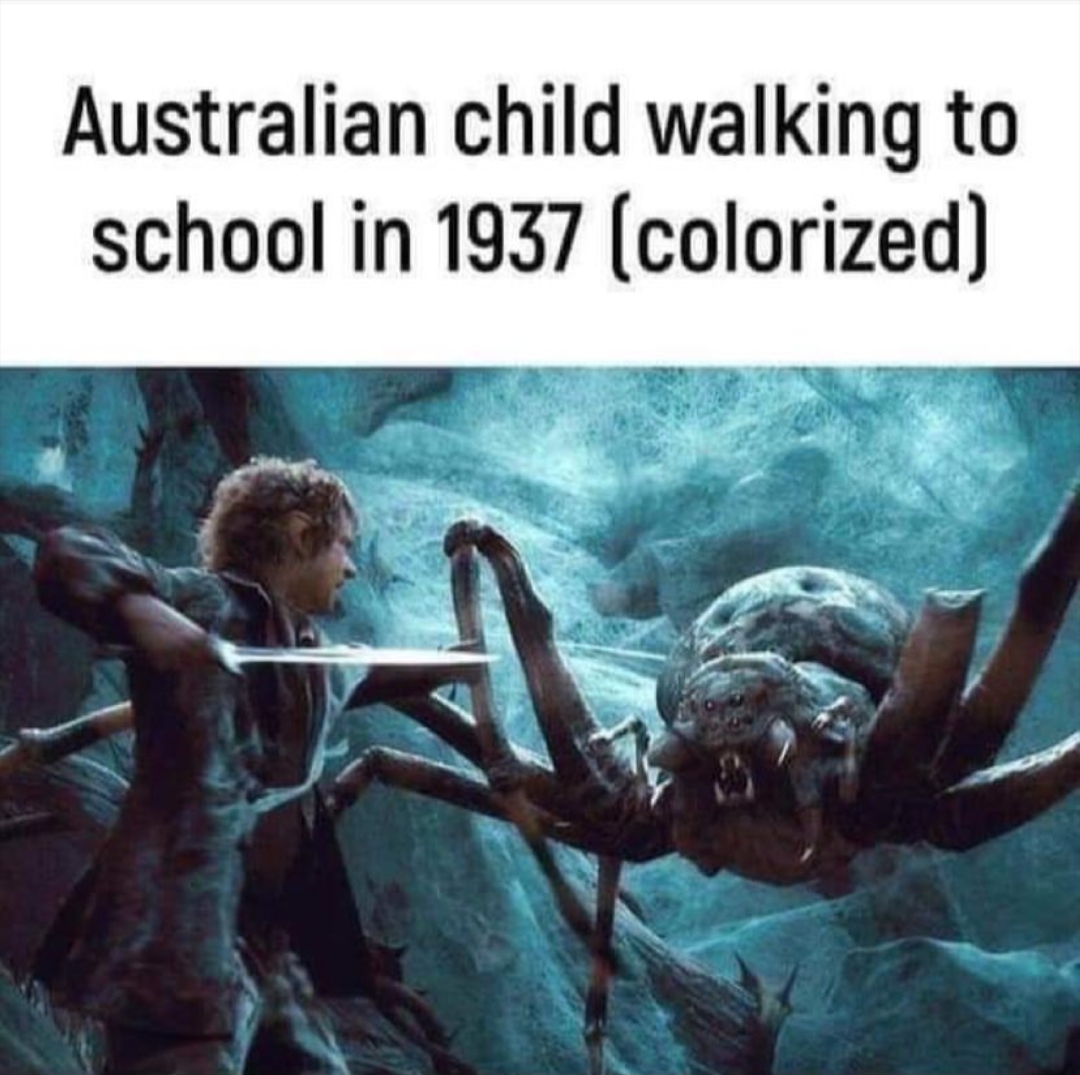 86025457.jpg