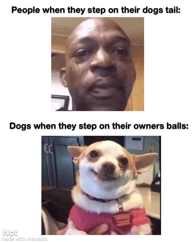 86264183.jpg