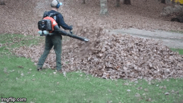 23rlqd.gif