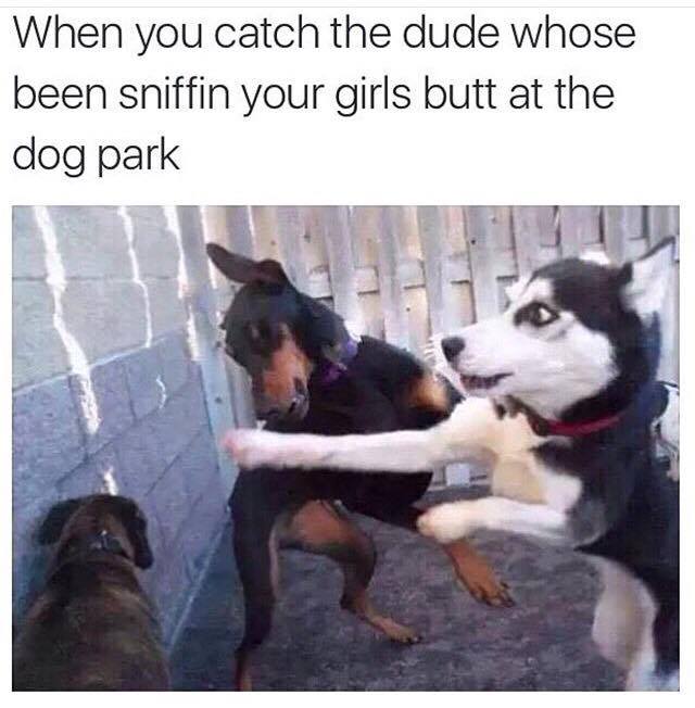 85832297.jpg