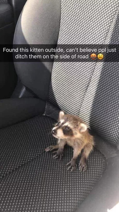 85795712.jpg