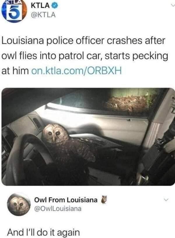 f856df2a27f5dc053fd08f0f1ec25fa7.jpg
