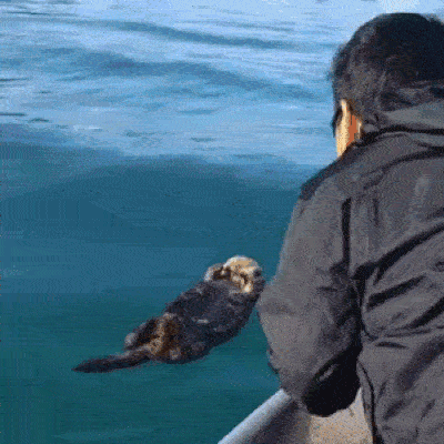 not-dead-gif.730015