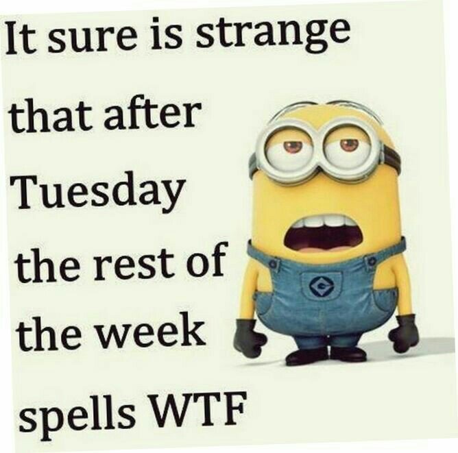 c0e6679b498cee06cb6c86119a483178.jpg