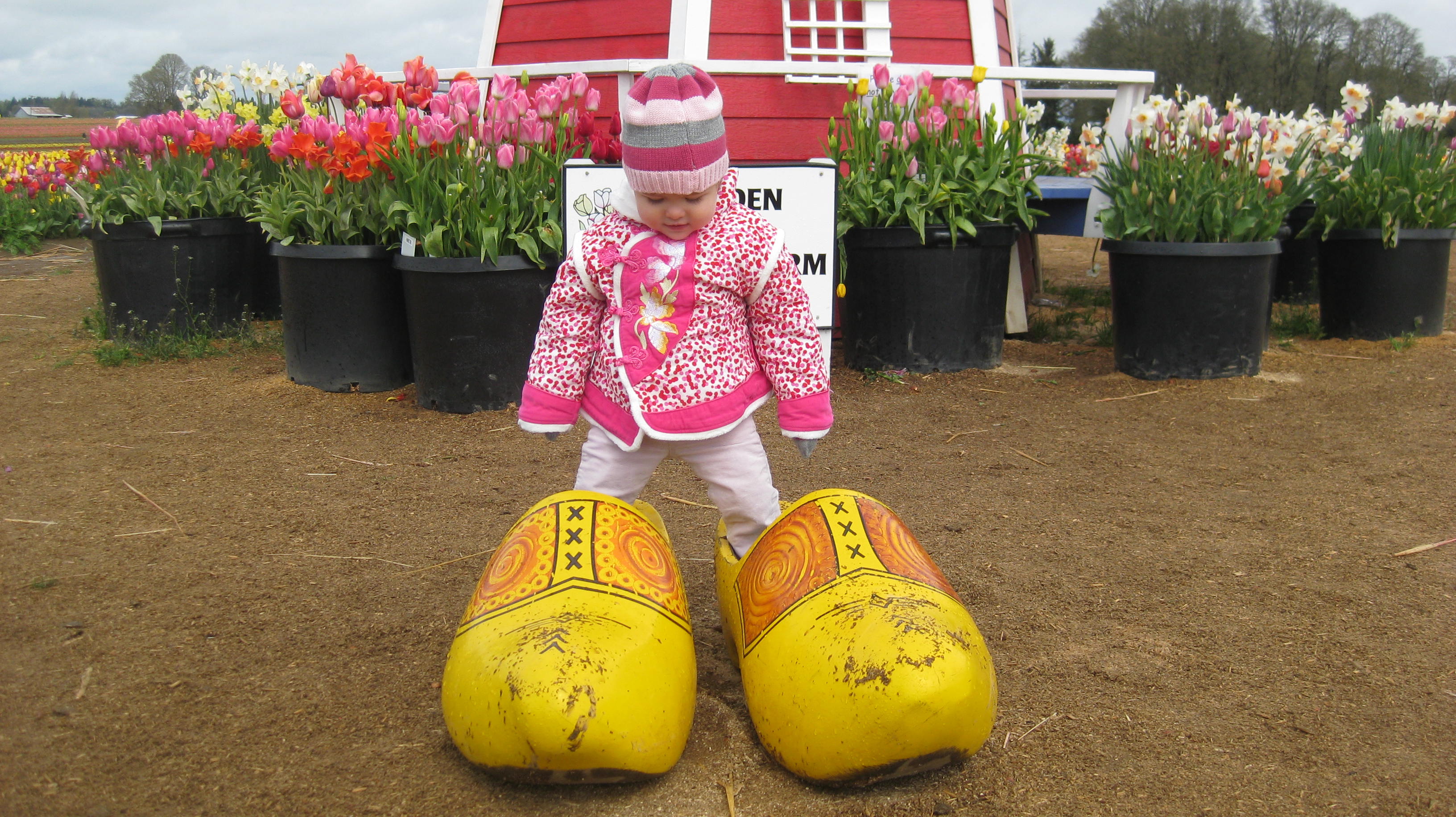 giant-wooden-shoes-1.jpg