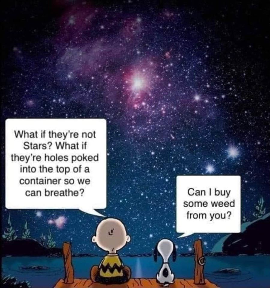 86329142.jpg