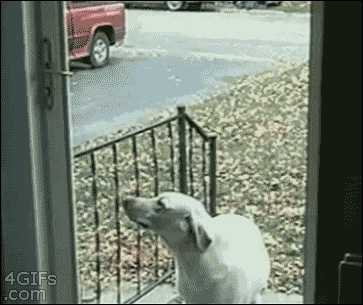 623.gif