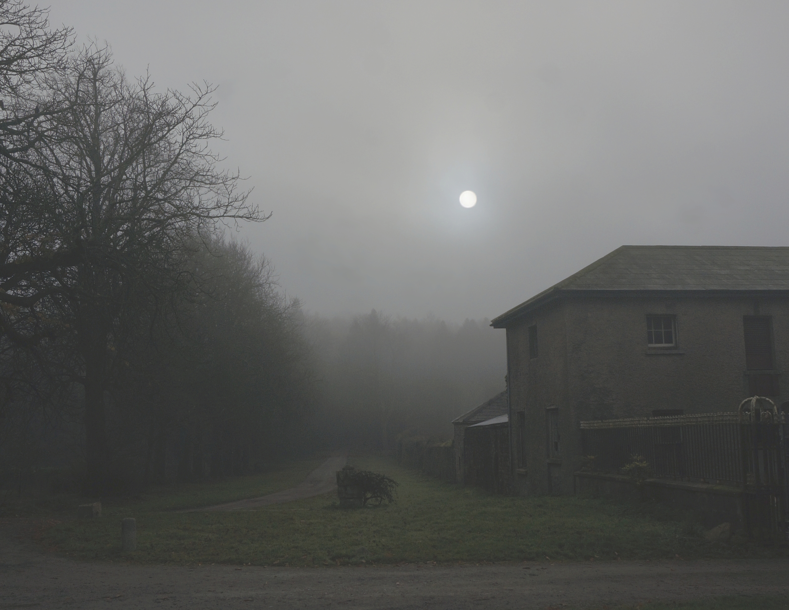 164683718.xvNeW5kL.wintermist.JPG